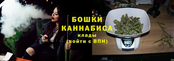 сатива Елабуга