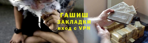 сатива Елабуга