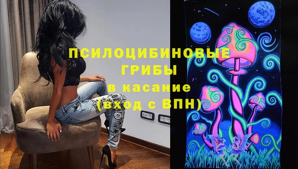 сатива Елабуга