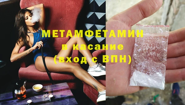 сатива Елабуга